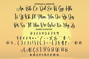 Sunrice | Script Font, a Script Font by Scratchones (Thumbnail 4 of 8)