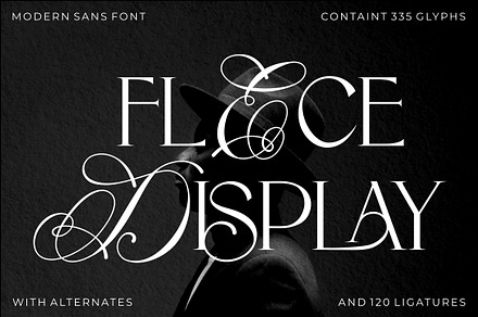 Flece Display - Modern Sans Font, a Font by PutraCetol Studio