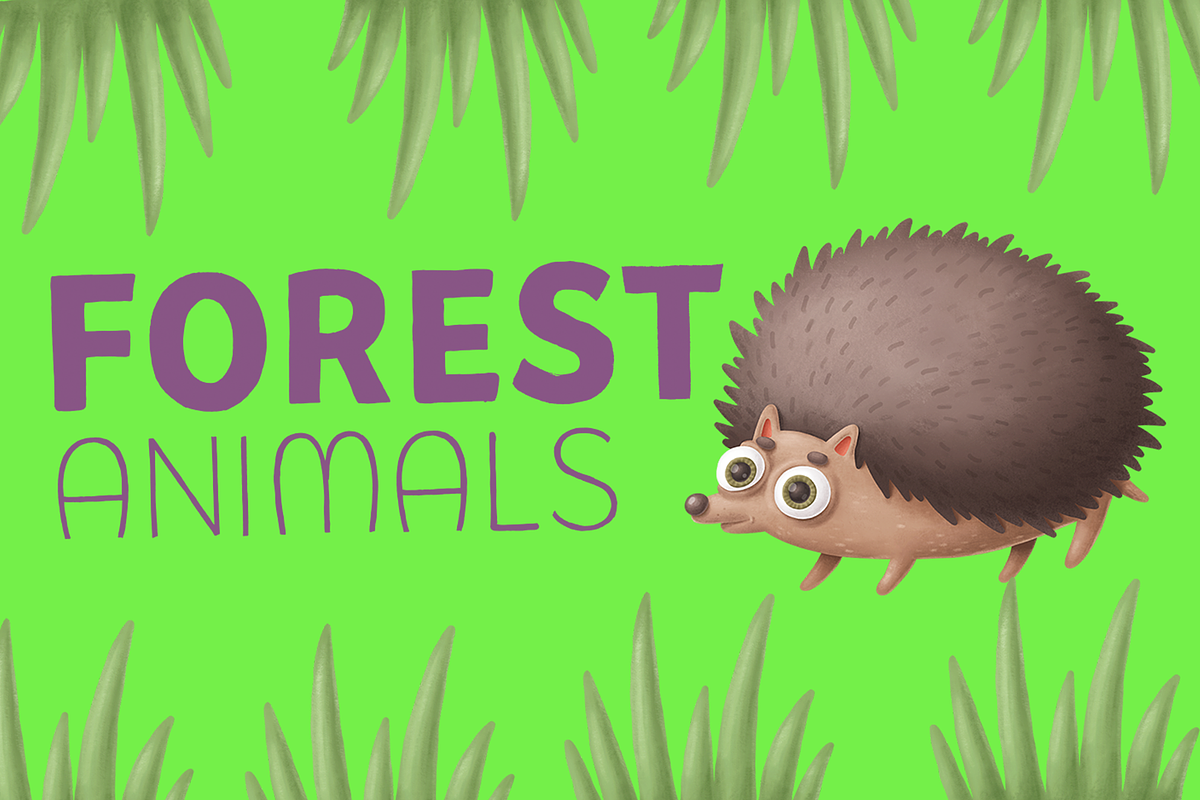 Picaflor Handmade Only$45 All Bundle, a Font by Rodrigo Typo (Photo 6 of 6)