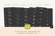 Procreate Bird Drawing Toolkit, a Brush Add-On by Lisa Glanz (Thumbnail 5 of 13)