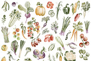 Hand-Painted Vegetable Clipart, a Food Illustration by LenArt (Thumbnail 6 of 15)