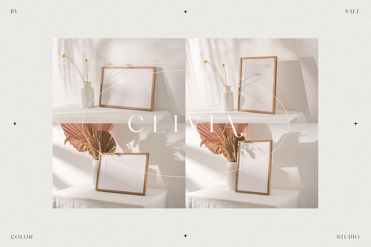 Clivia - Video & Photo Mockup Bundle, a Household Mockup by Salt Color Studio (Photo 9 of 14)