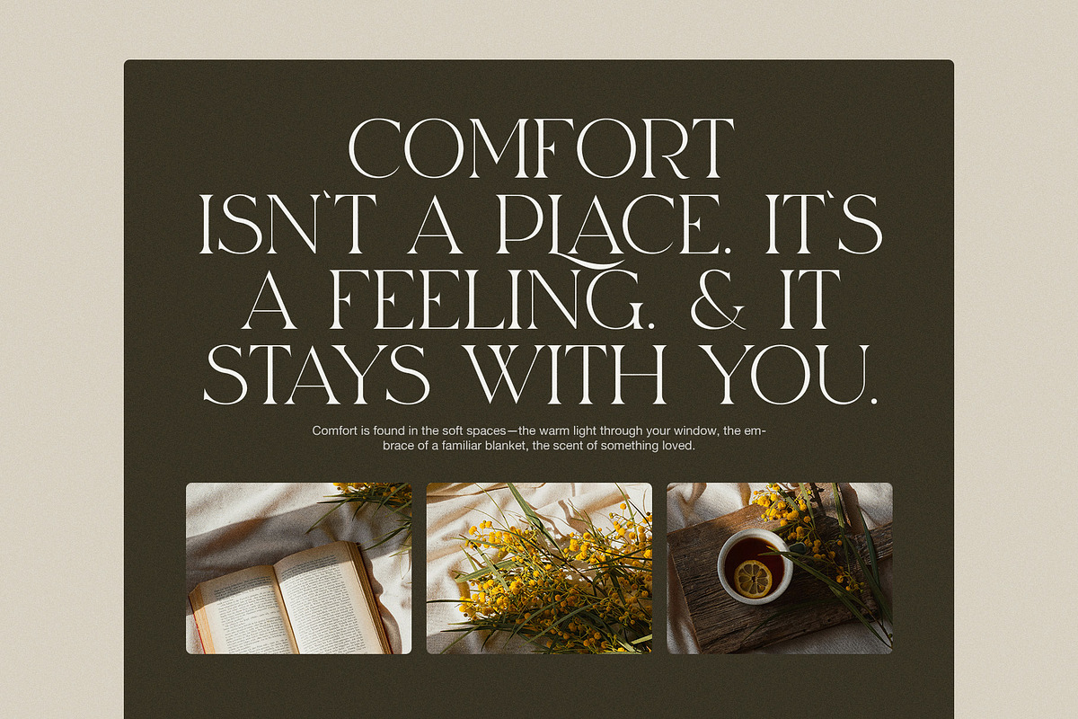 Merilo Elegant Serif Font, a Serif Font by Graphicxell (Photo 6 of 8)