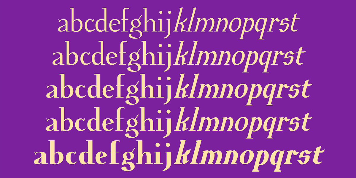 Euroika, a Serif Font by Ingrimayne Type (Photo 2 of 10)