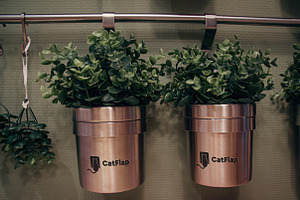 Flowerpot Mockup #2