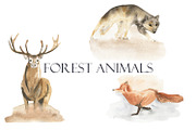 Magic of november, an Animal Illustration by Love Watercolor Store (Thumbnail 10 of 12)