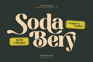 TBJ Sodabery Serif Retro Family