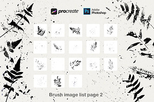 Fern Leaves Procreate Brush Stamps