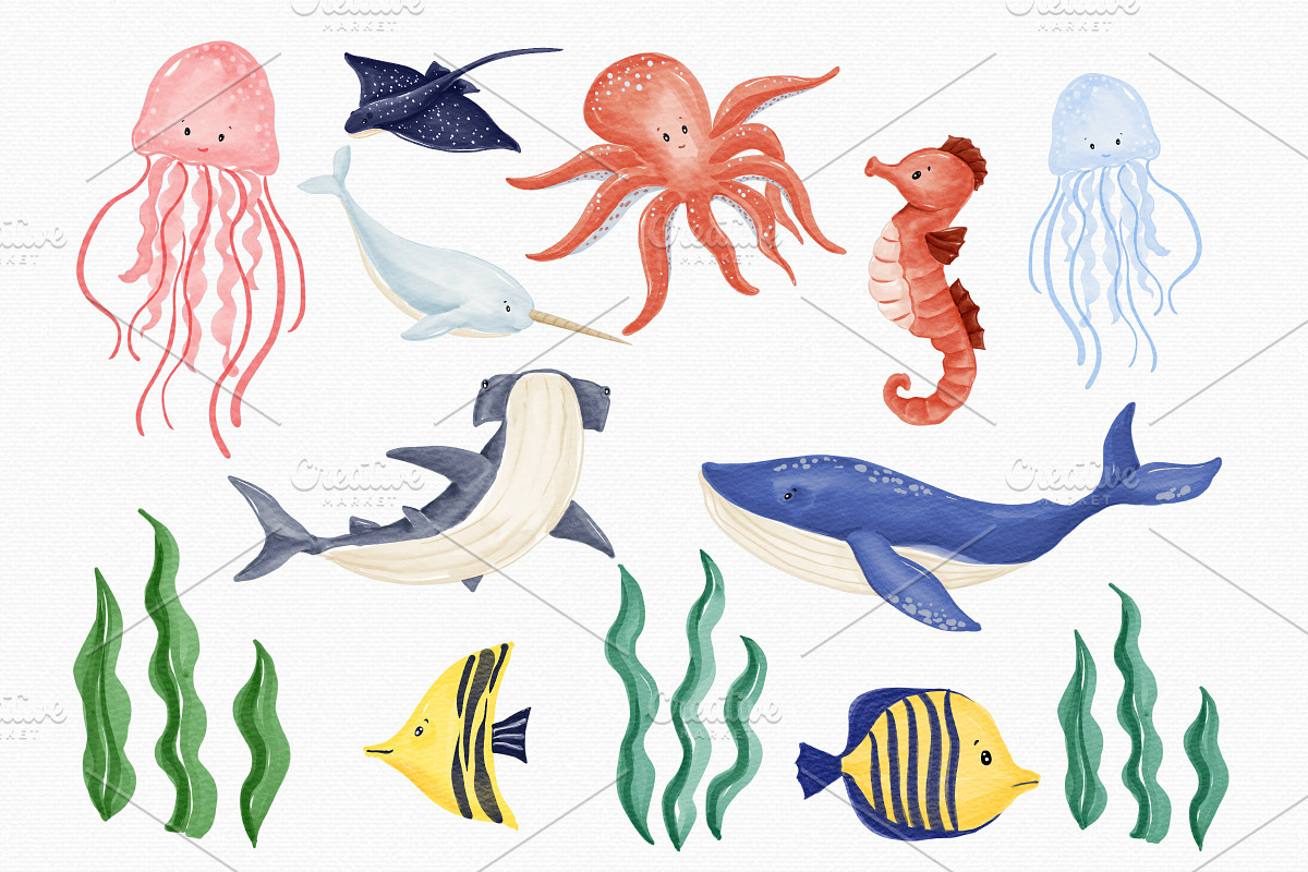 Watercolor Ocean & Sea Animals, an Animal Illustration by MiracleArtAndDesign (Photo 2 of 4)