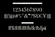 Mulich Serif Display | 18 Fonts, a Serif Font by Skinny Type (Thumbnail 14 of 15)