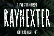 Raynexter – Condensed Brush Font
