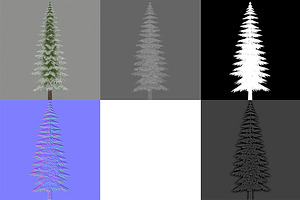 Canadian Spruce Tree Snow V1