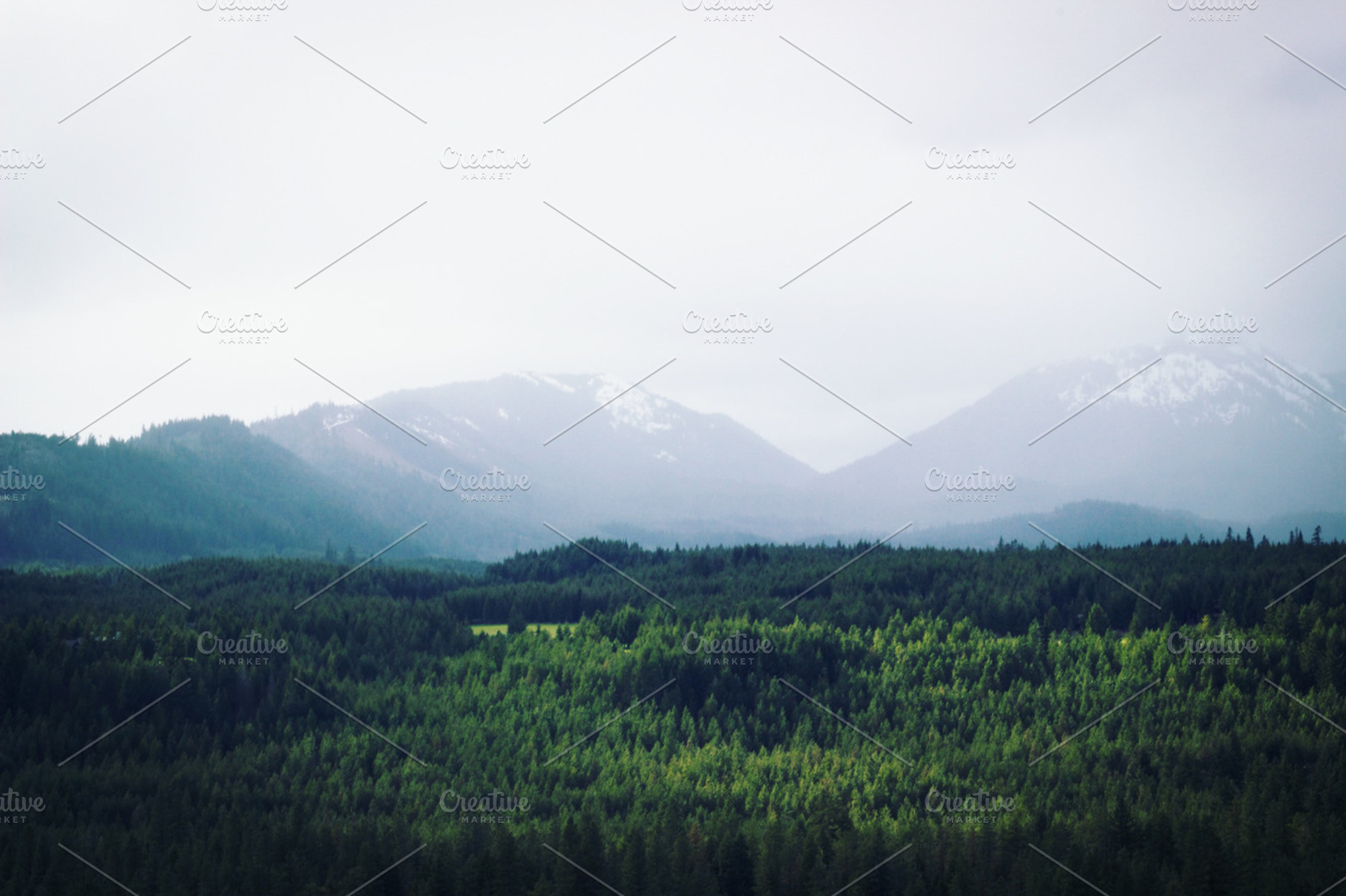 Misty Mountain Stock Photo