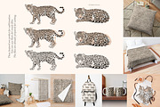 African leopard, an Animal Illustration by Siriliadka Dreams (Thumbnail 4 of 6)