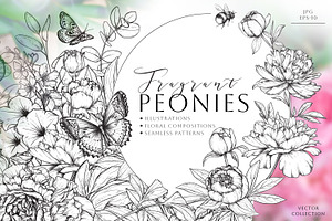 Fragrant Peonies. Vector Set