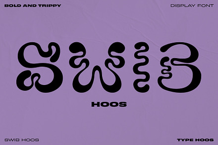 Swib Hoos - Display Font, a Handwritten Font by Type Hoos