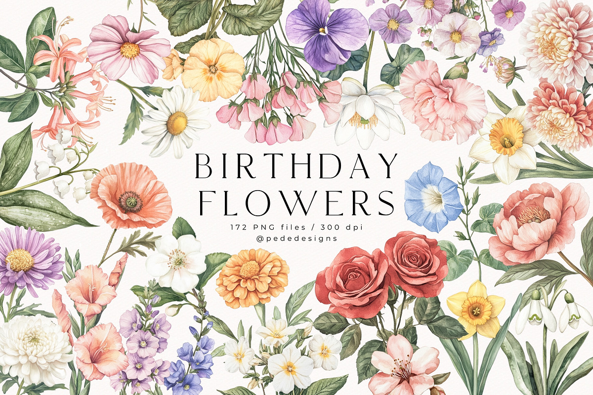 Birthday Flowers, a Decorative Illustration by PeDe Designs (Photo 1 of 10)
