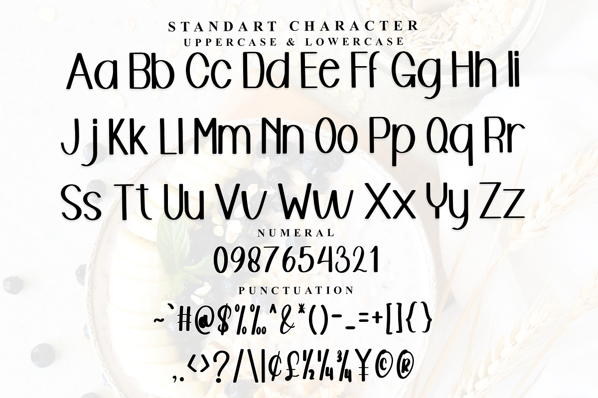 Beauty Alphabet, a Serif Font by FreshTypeINK (Photo 6 of 7)