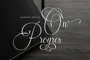 Patrice Seraya - Calligraphy Font, a Script Font by Flawless And Co (Thumbnail 8 of 10)