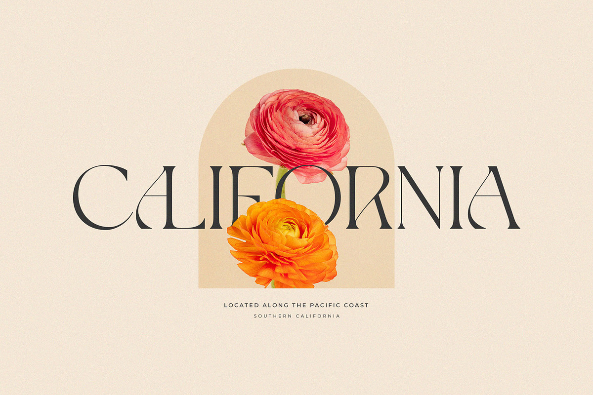 Giflika // Modern Display Serif, a Serif Font by BrandSemut (Photo 2 of 11)