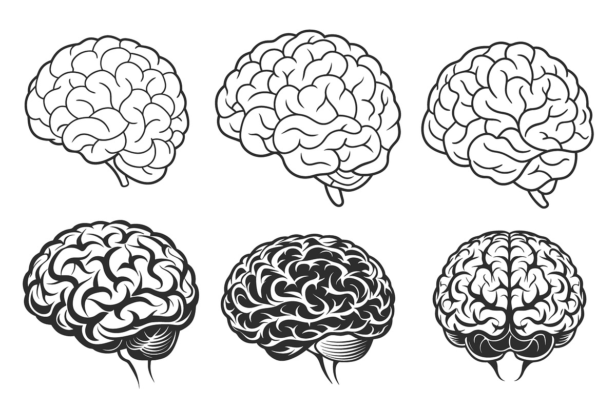 Brain vector silhouette set, an Object Graphic by Billah Hub