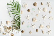 Summer Photo Bundle - Seashells, a Nature Photo by GT Studio (Thumbnail 4 of 11)