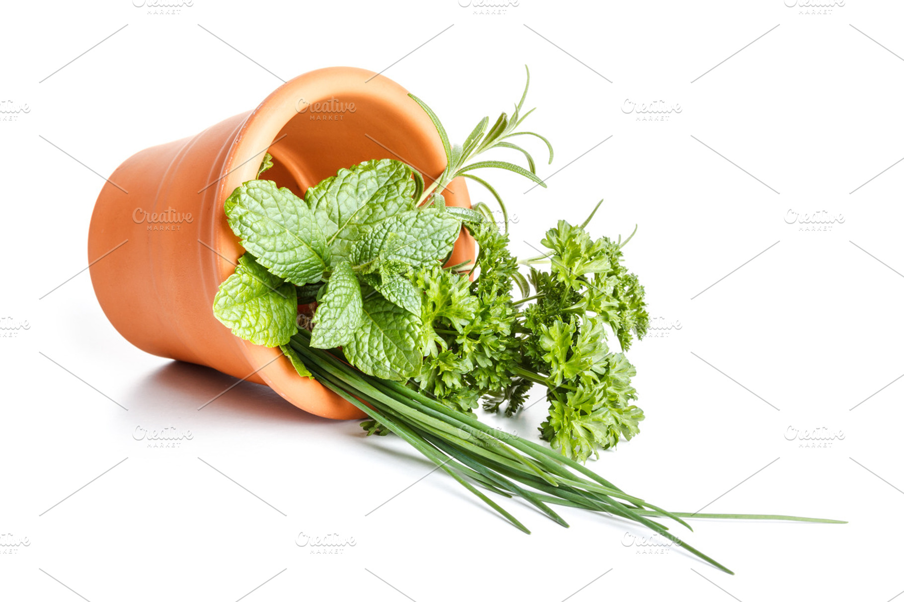 Herbs in pot stock photo containing pot and spices