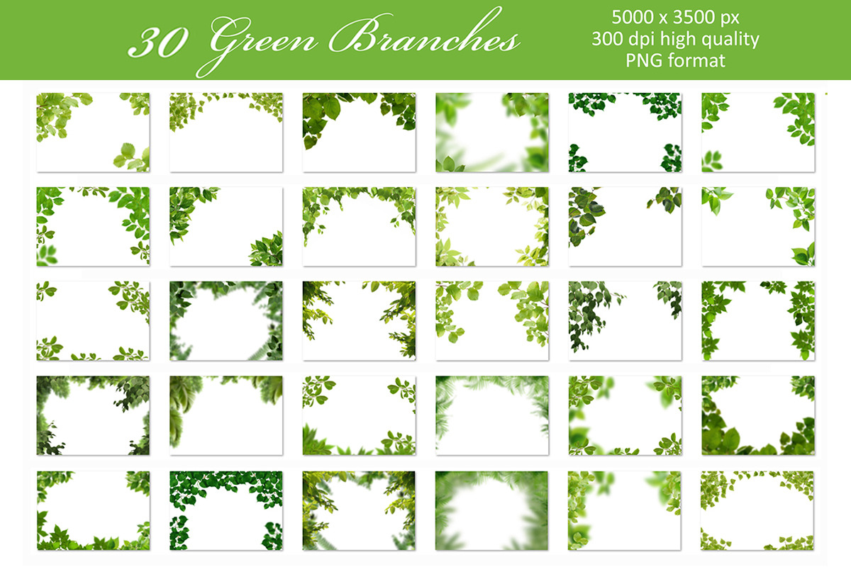 Tree Branch Overlay, an Object Graphic by VligCreativeStudio (Photo 5 of 5)