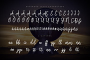 Cosmodrome Monoline Script Font, a Script Font by Design Panoply (Thumbnail 3 of 9)