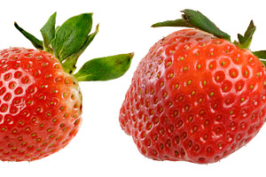 Two red ripe strawberries with green sepals on an isolated backg, a Food & Drink Photo by ndanko