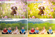 Spring Presets - Lightroom Presets, an Action Add-On by Lensgrade.com (Thumbnail 5 of 15)