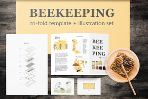 Beekeeping illustrations + tri-fold