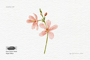 15 Procreate Watercolor Brushes, a Brush Add-On by Jenteva Art (Thumbnail 8 of 13)