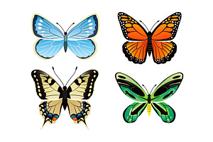 Butterflies Kinds Collection Vector