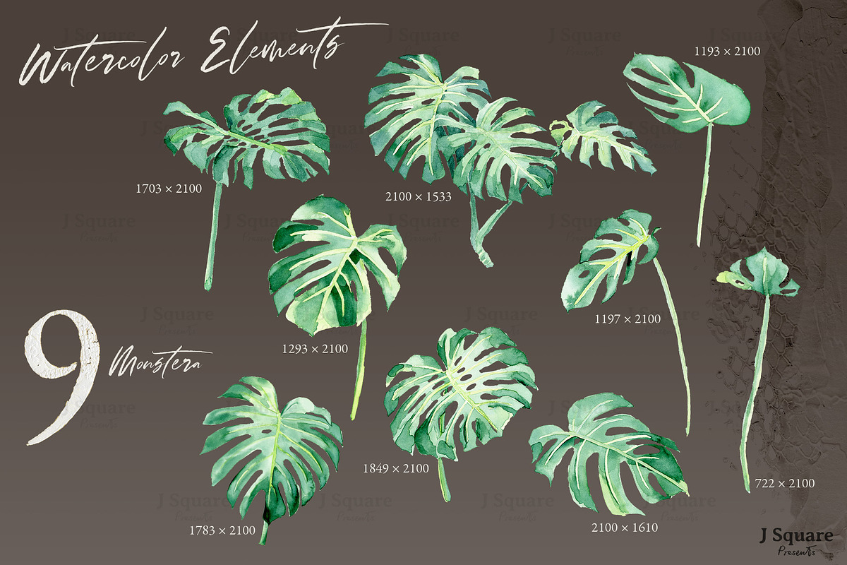 Modern Plants Design Kit, an Object Graphic by JSquarePresents (Photo 13 of 18)