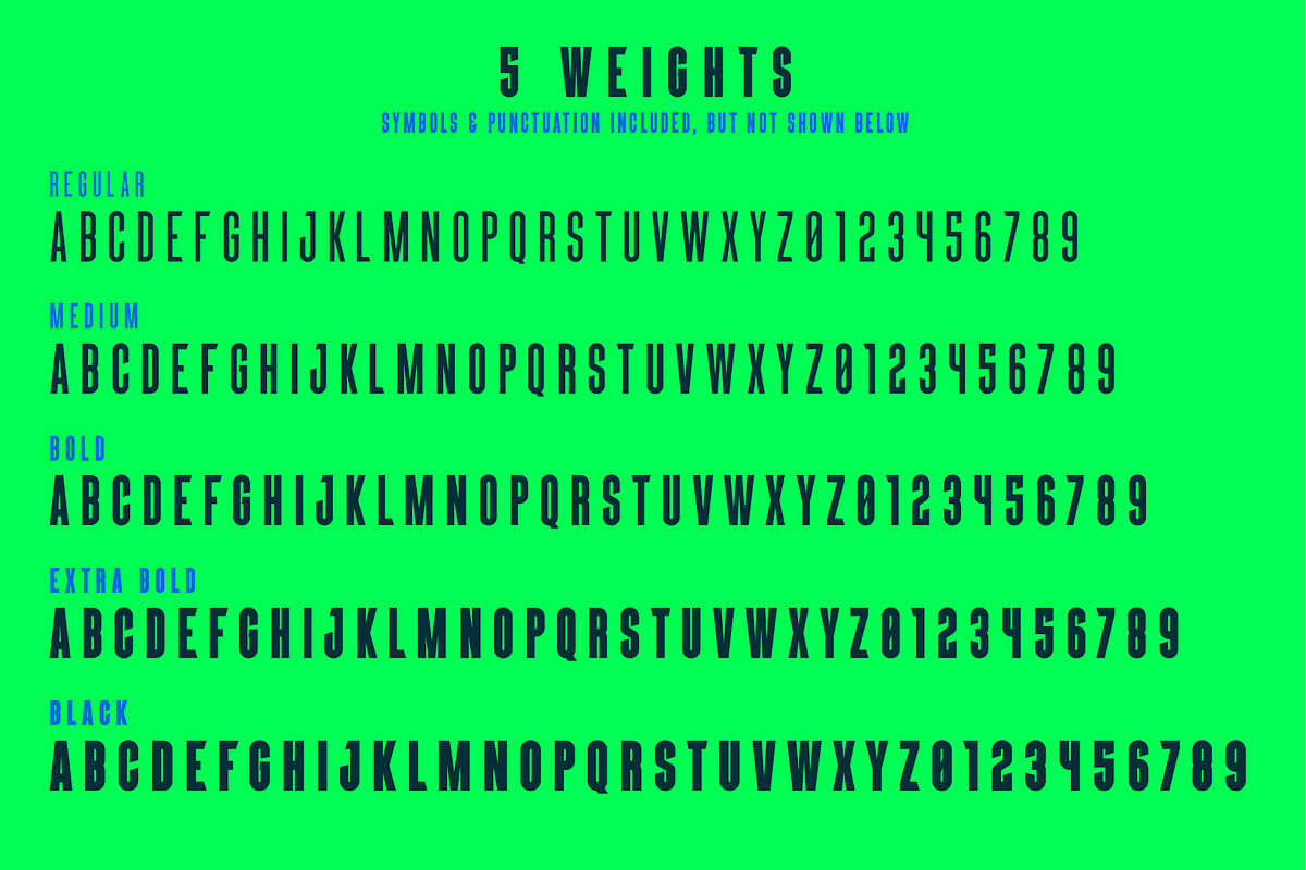 SOCIAL SANS - Bold Display Font, a Sans Serif Font by BfredDesign (Photo 7 of 8)