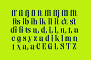 Zefta Bold Tall Modern Serif Font, a Serif Font by timelesstype.co (Thumbnail 14 of 20)