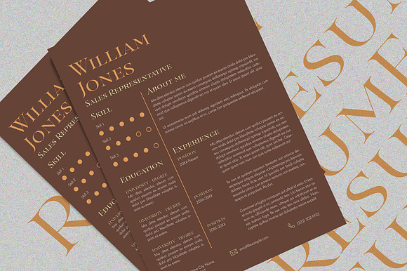 Classic Resume preview 2