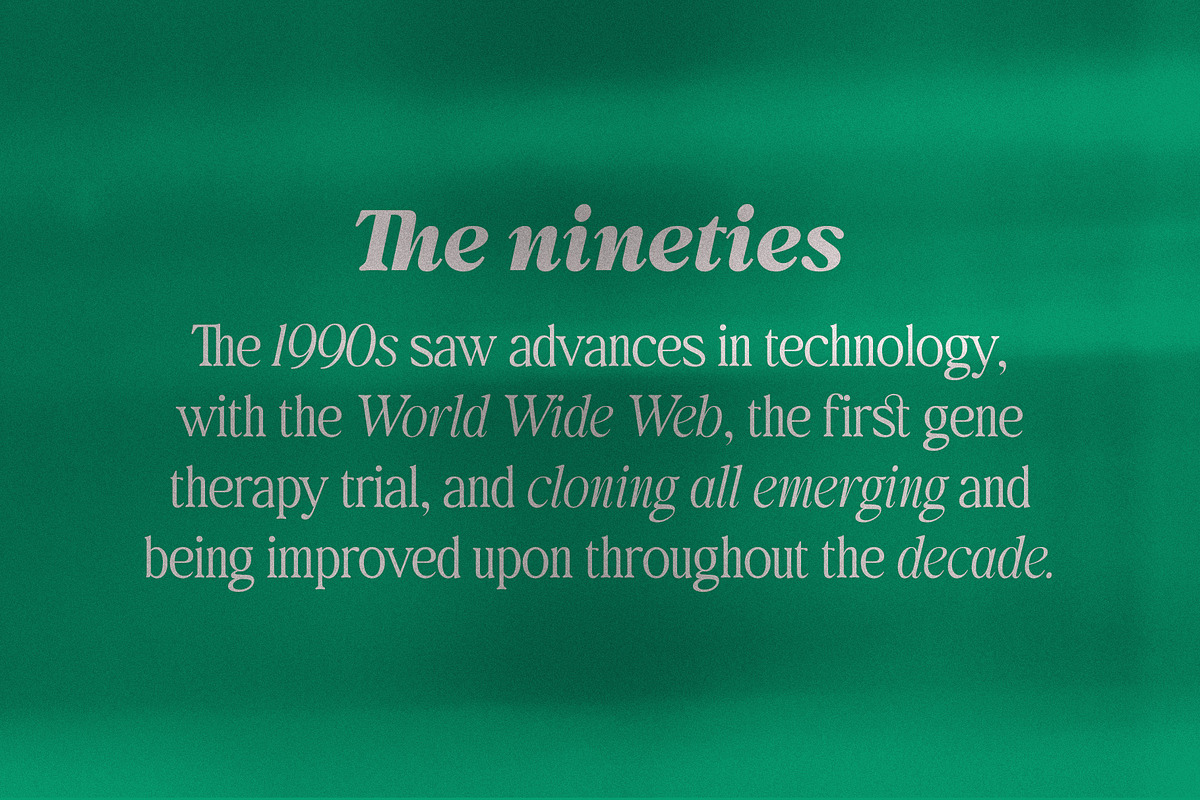 Behind The Nineties 12 Fonts + VFs, a Serif Font by Casloop Studio (Photo 9 of 18)