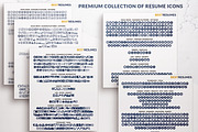 Modern Executive Resume CV Template, a Resume Template by BestResumes.Co (Thumbnail 5 of 9)