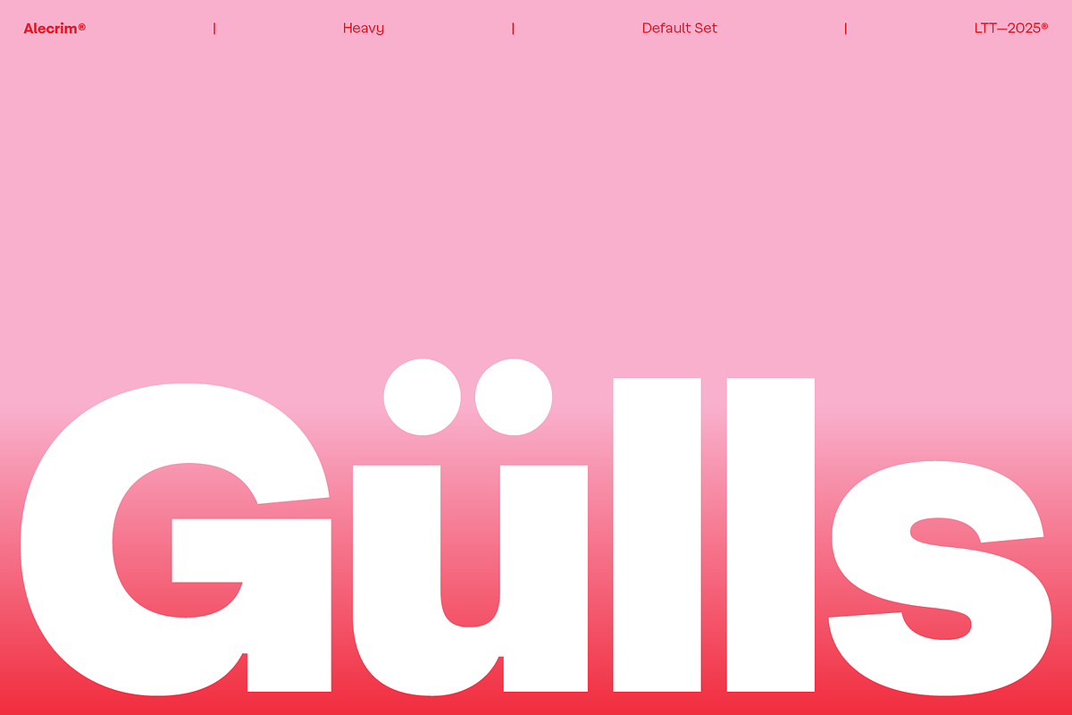 Alecrim, a Sans Serif Font by Latinotype (Photo 8 of 12)