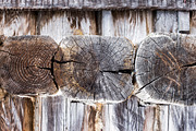 Old Wood Texture Wood Log Wall, a Texture Graphic by VetalStock (Thumbnail 8 of 9)