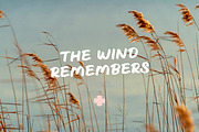 Mira Notes, a Handwritten Font by RanRan & Co. (Thumbnail 8 of 12)