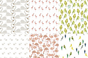 Watercolor Birds, a Pattern Graphic by Valeri Nick (Thumbnail 2 of 6)