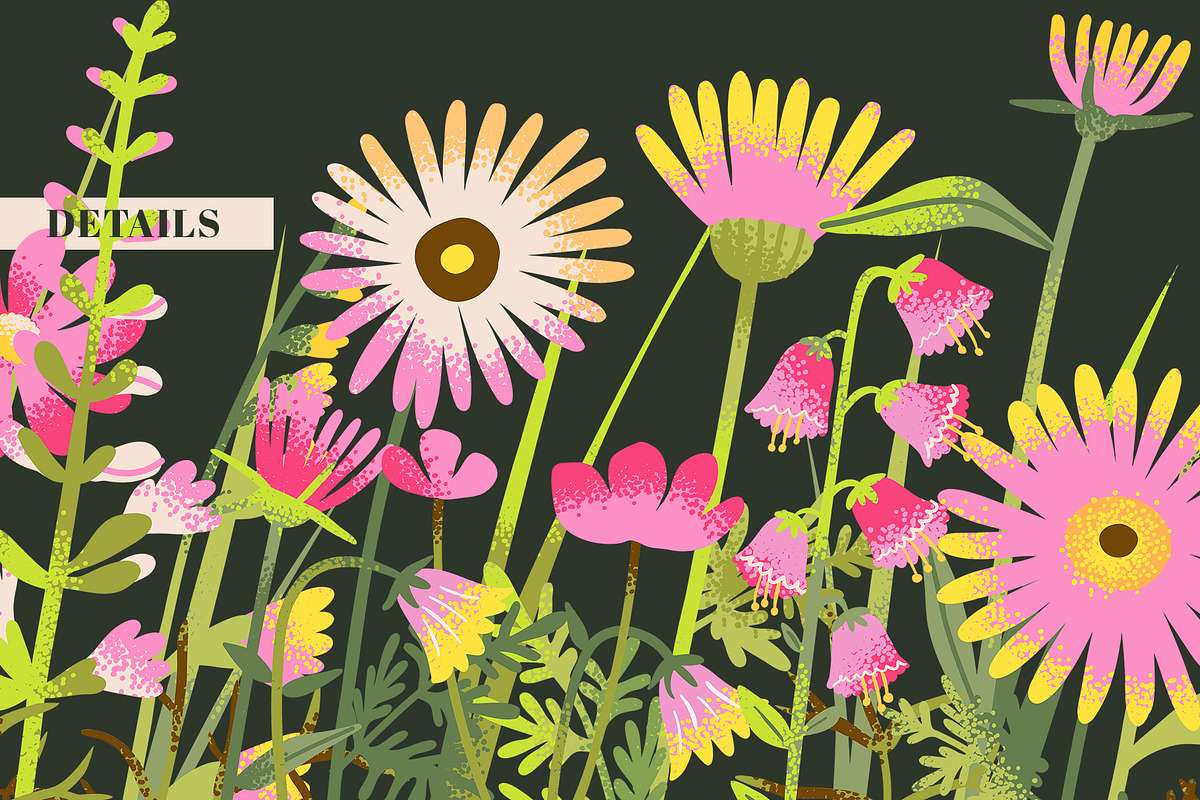 MEADOW FLOWERS: clipart & borders, a Seasonal Illustration by Elliko shop (Photo 5 of 8)