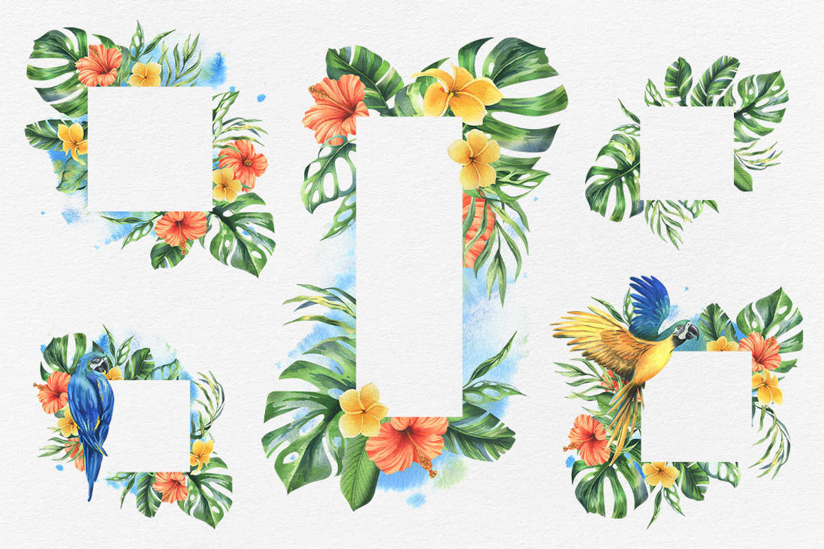 Parrots & tropical leaves watercolor, an Animal Illustration by NATASHA CHU (Photo 8 of 21)