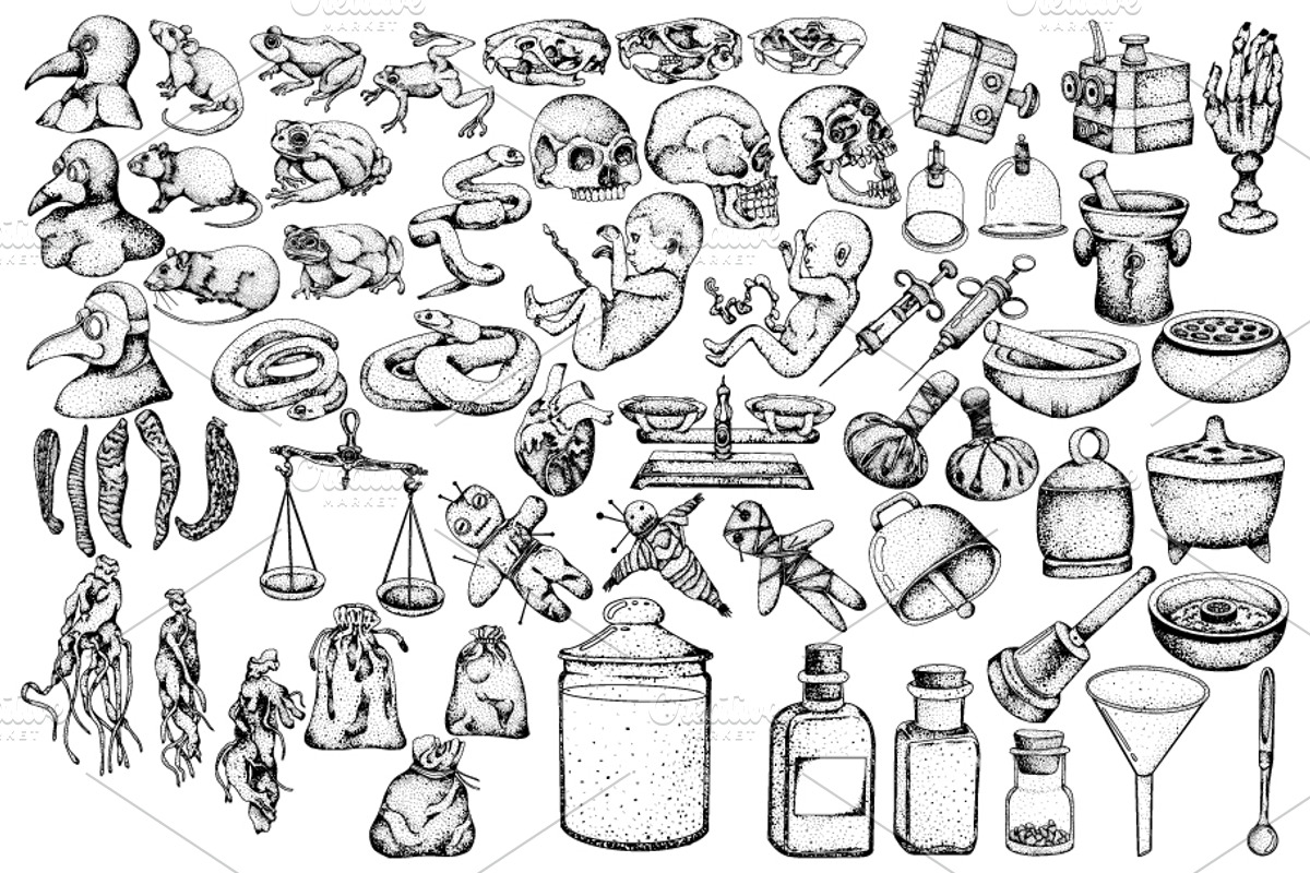 Apothecary & Curiosities vector, an Object Illustration by Elena Mykhailenko (Photo 3 of 7)