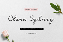 Monoline Script Font - Clara Sydney