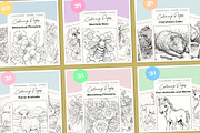 Beautiful Nature Coloring BUNDLE, an Illustration by Pix Cafe (Thumbnail 3 of 13)