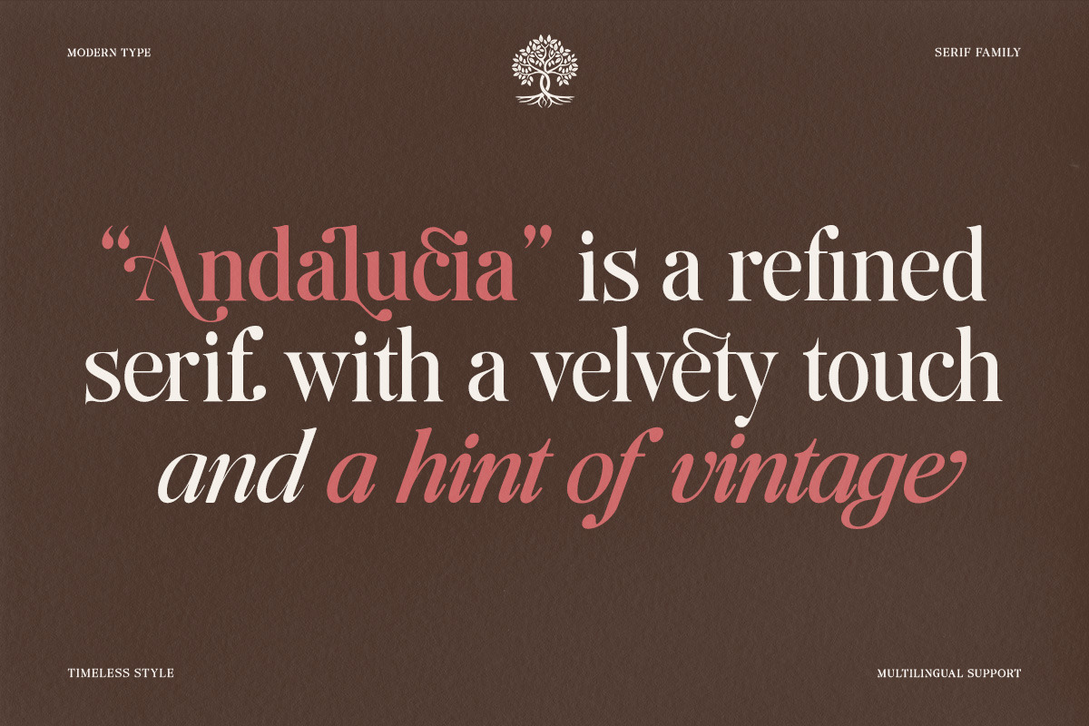 The Andalucia Serif, a Serif Font by Pista Mova (Photo 4 of 26)